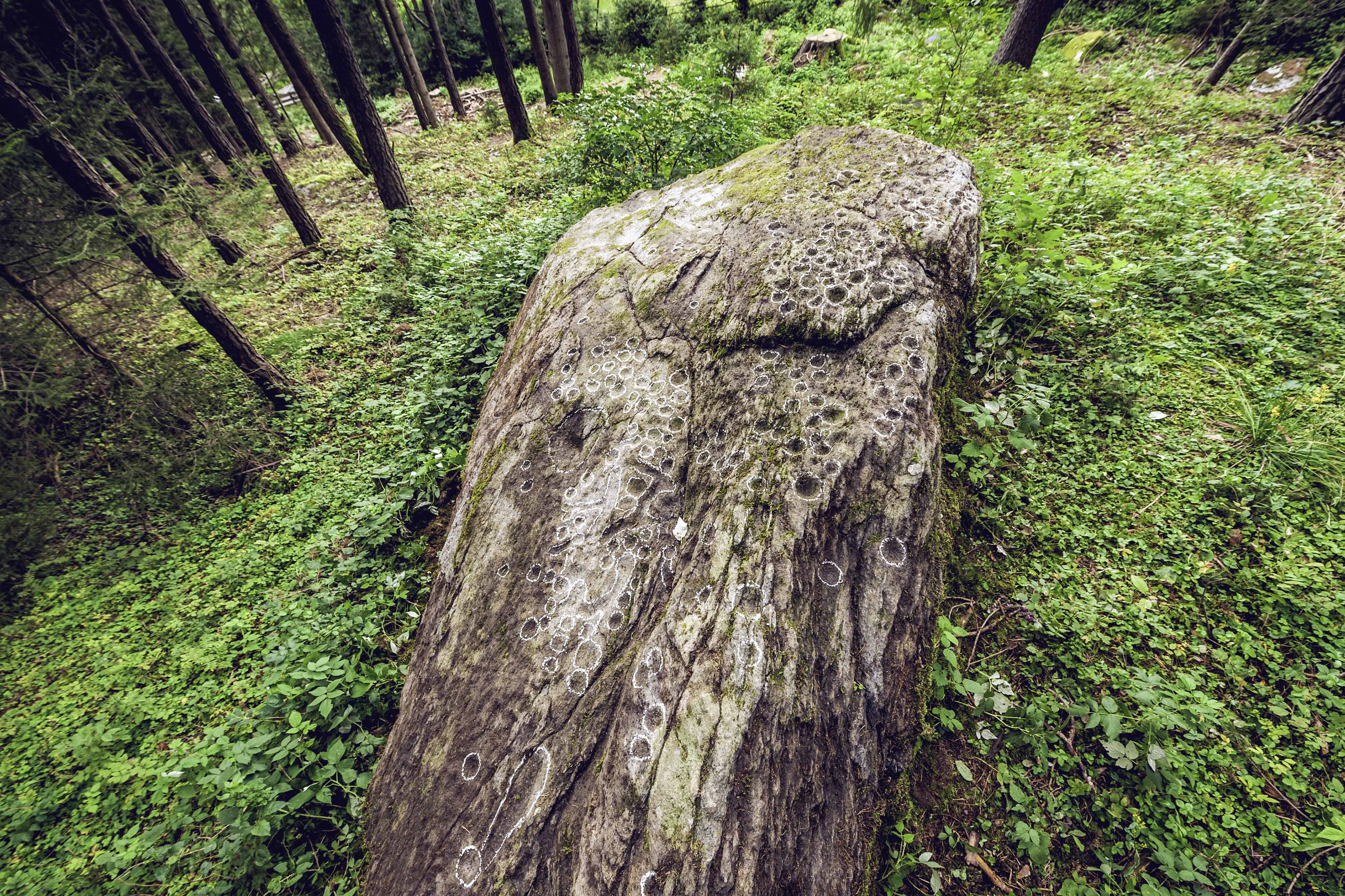 dietenheim_schalenstein4_DSC9301