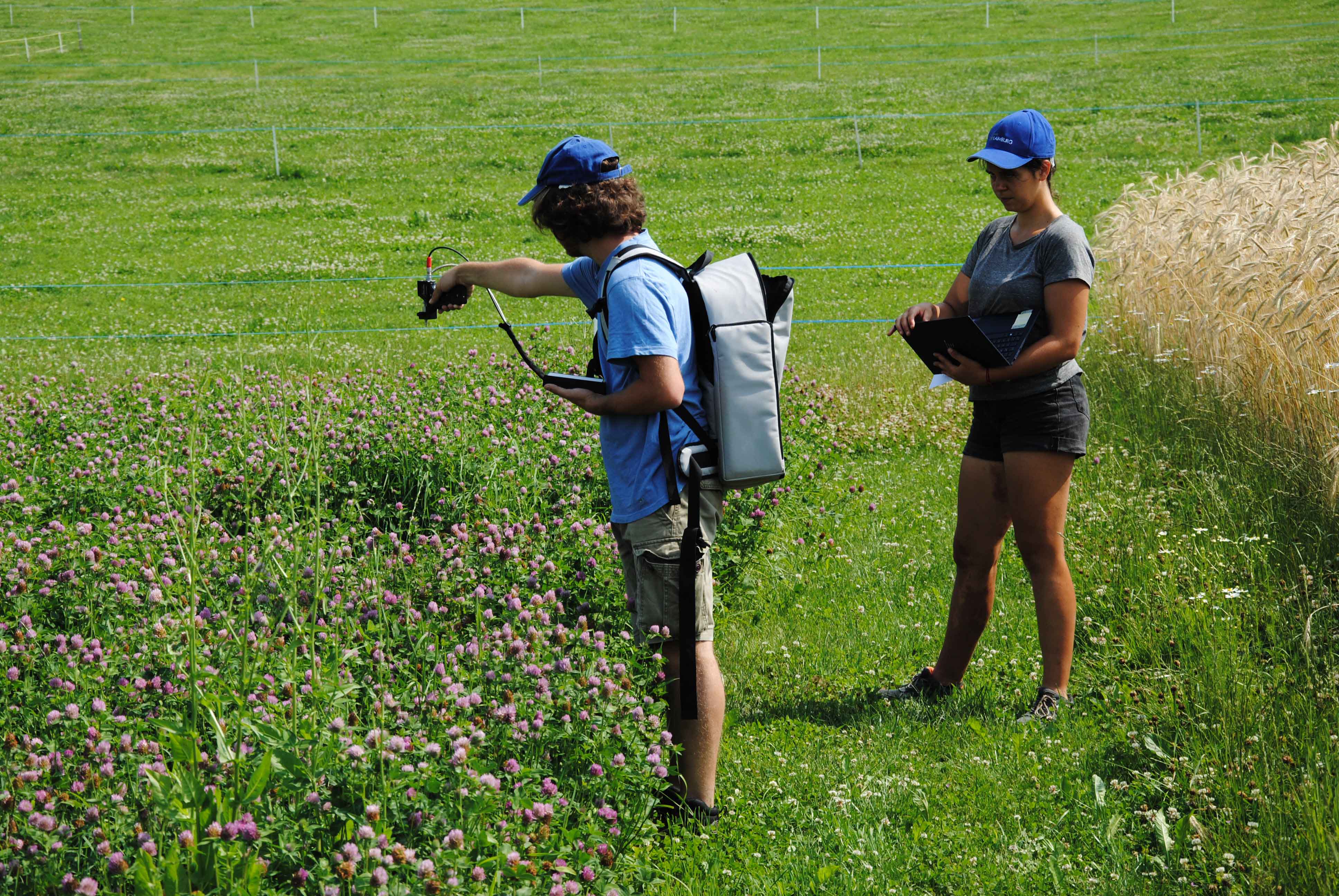 Dietenheim VersucheQuelle Versuchszentrum Kopie